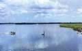 fleuve.jpg