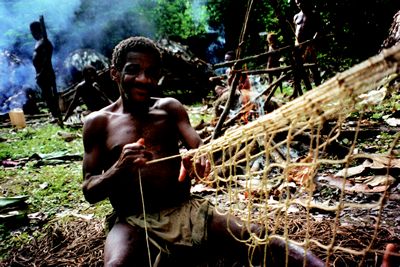 pygmes.jpg